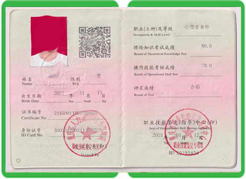 3个核心专业证件制作案例：平版印刷与数码直印底层机制剖析